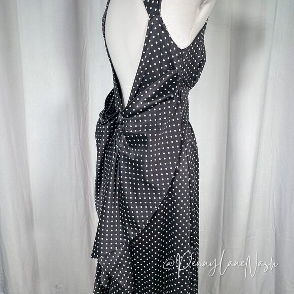 Kate Young Satin Polka Dot Open Back Maxi Dress - Picture 13 of 16